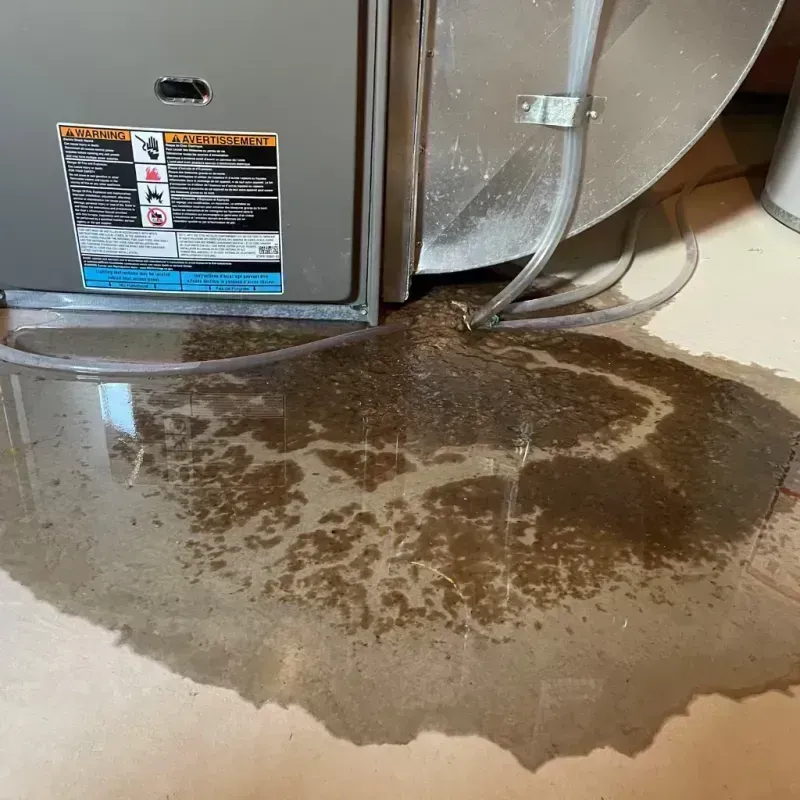 Appliance Leak Cleanup in Oakland, MD